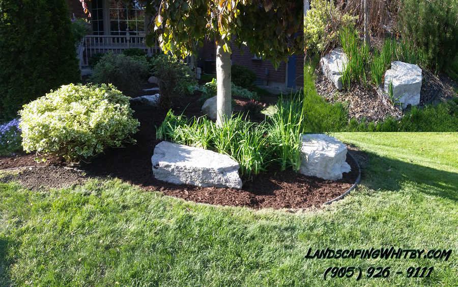 Garden Bed Pruning and Clean-Up